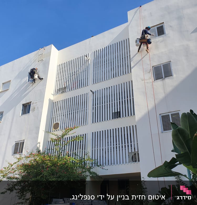 שני עובדים תלויים על חבלים צובעים קיר בניין